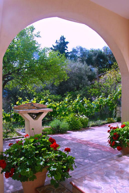 Vila Mitrovic Budva Quarto foto